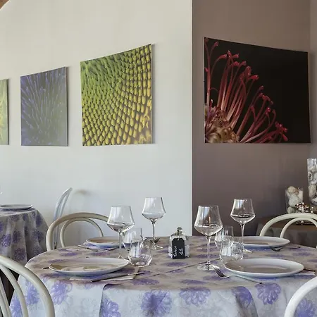Hotel Il Cavallino Blu 3*