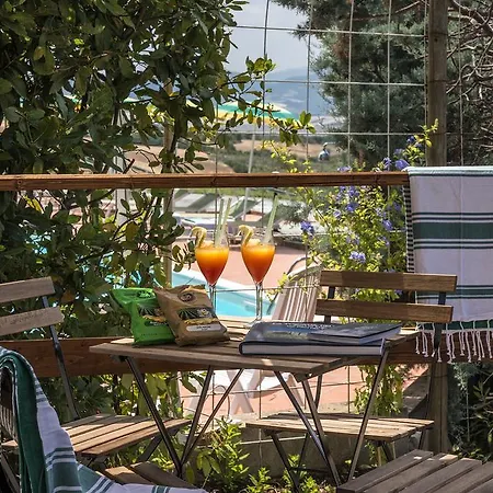 Il Cavallino Blu Volterra